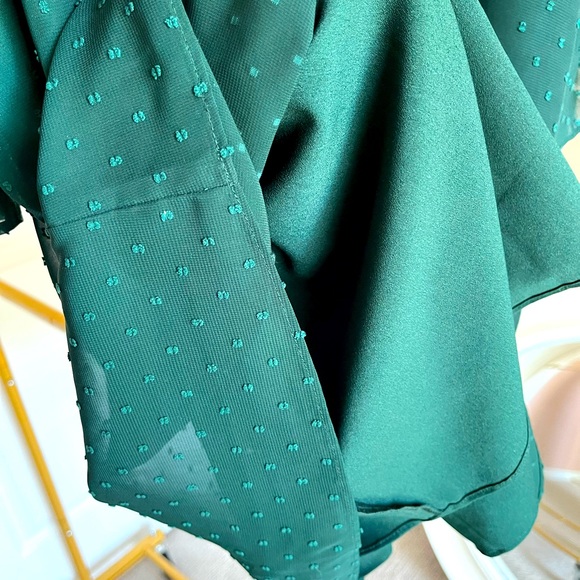 Chiffon Drapey Ellie Blouse with Swiss Dot - Universal Standard size S (14-16) - Picture 5 of 9